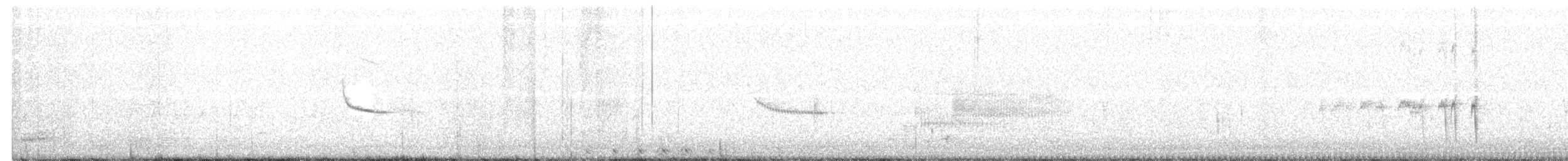 Least Bittern - ML235703971