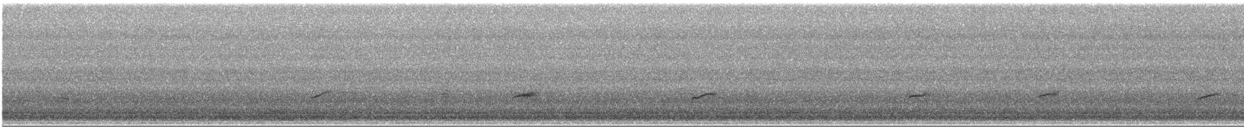 Дрізд-короткодзьоб Cвенсона - ML235714811