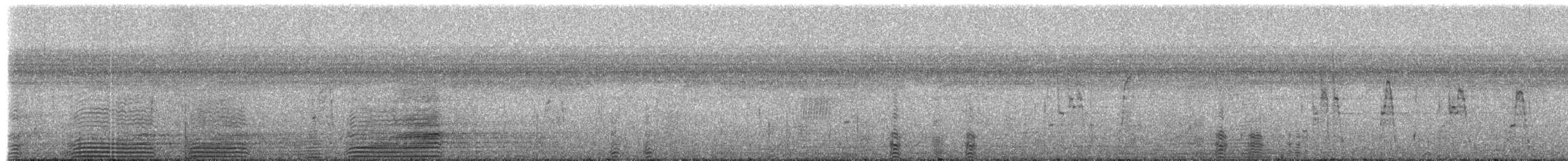 Ganso del Orinoco - ML235734