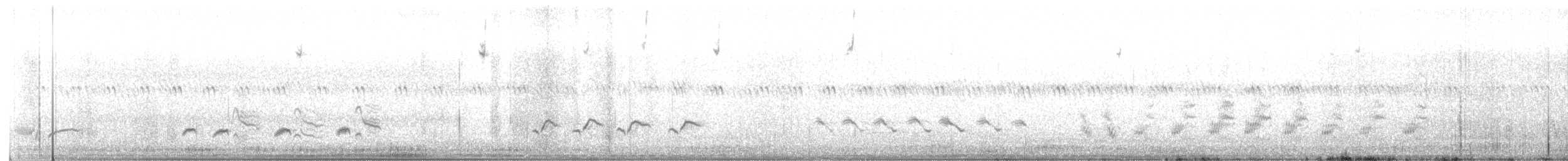 Northern Mockingbird - ML235741971
