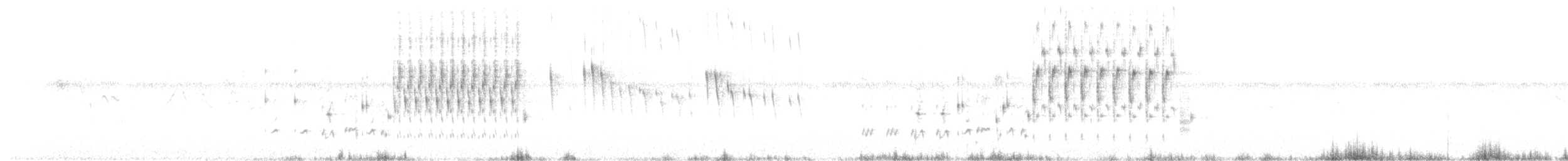 Troglodyte des marais - ML235797661