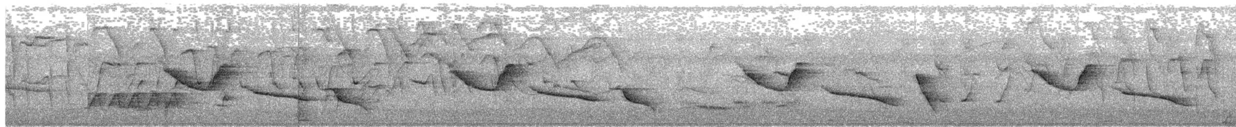 Troglodyte coraya - ML235835871