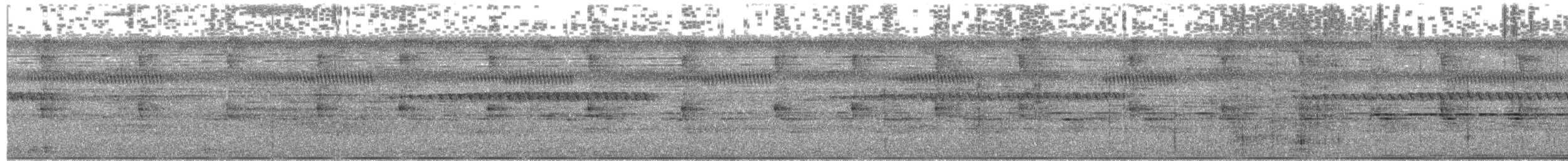 Длиннохвостый колибри-отшельник - ML235838891