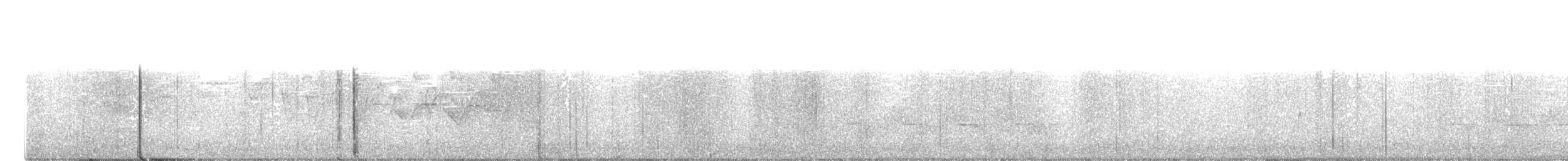 Hooded Warbler - ML235909401