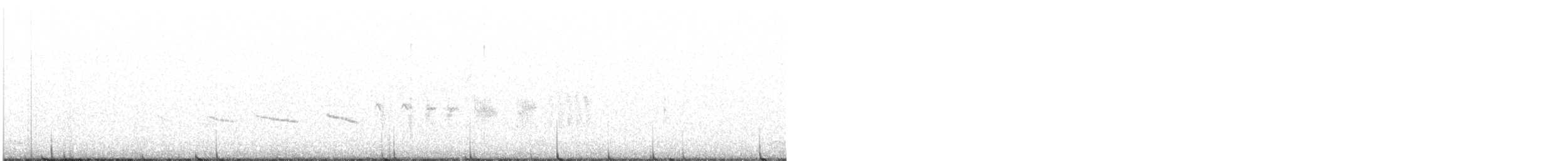 オジロヒメドリ - ML235947291