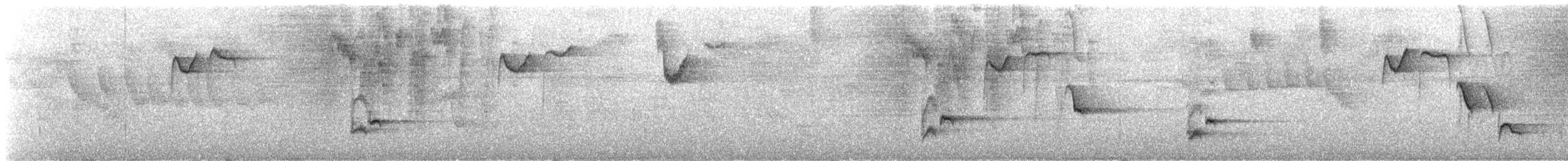 Braunzitterdrossel - ML235949