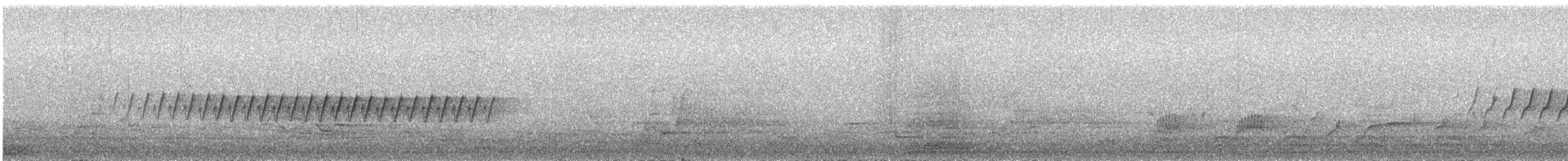 Pine Warbler - ML235968481