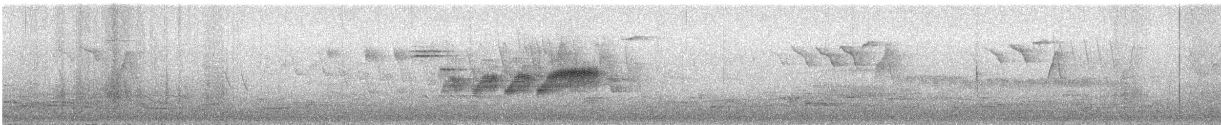 Black-throated Blue Warbler - ML235970541