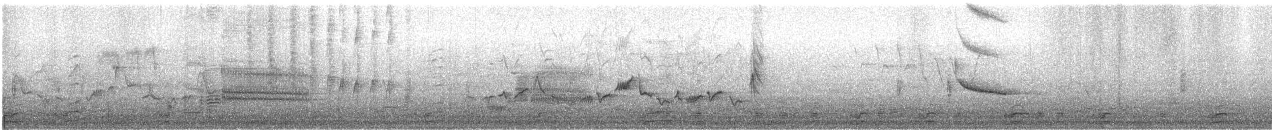 Eastern Warbling Vireo - ML235974681