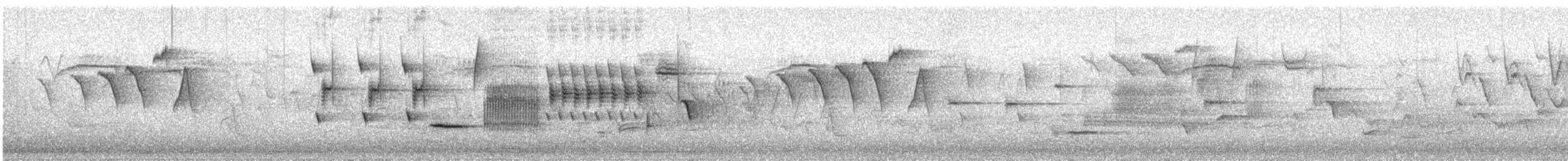 Song Sparrow - ML235981191