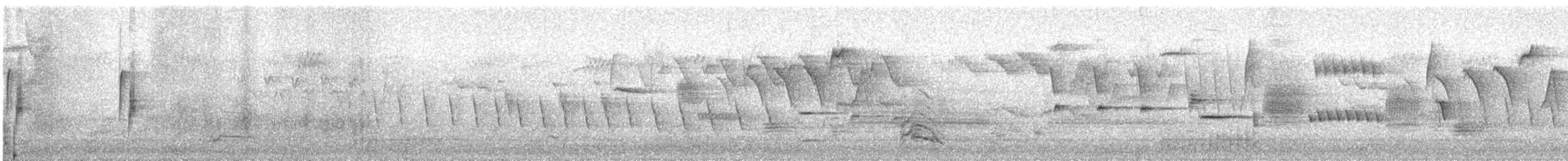 Least Flycatcher - ML235983231