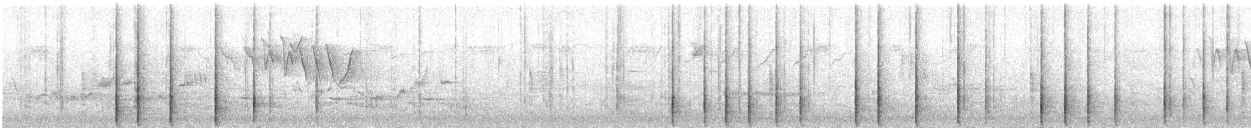 Hairy Woodpecker - ML235984821