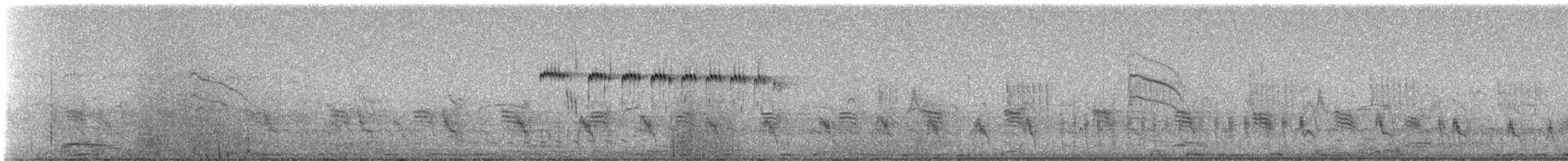 Picumne ocré - ML235987