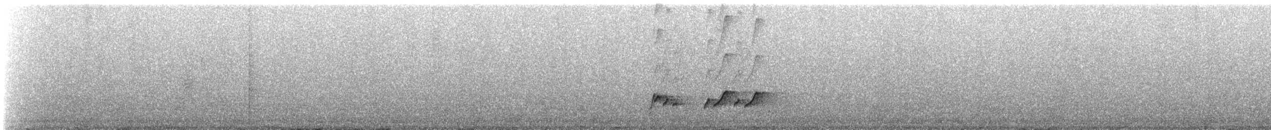 Манакін арарипський - ML235990