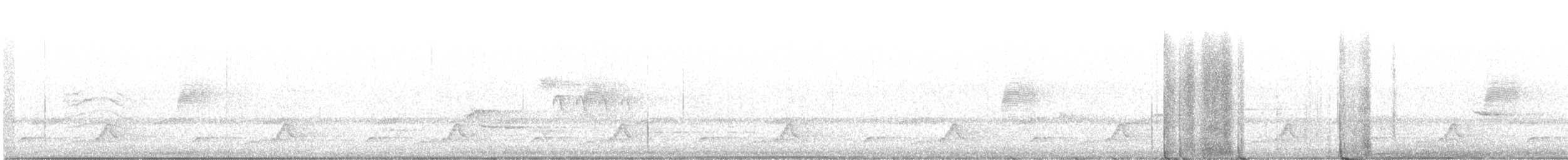 Schwarzkehl-Nachtschwalbe - ML235990601