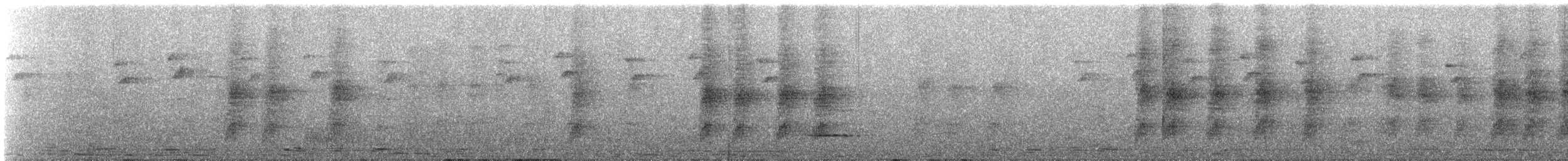 Манакін арарипський - ML235991