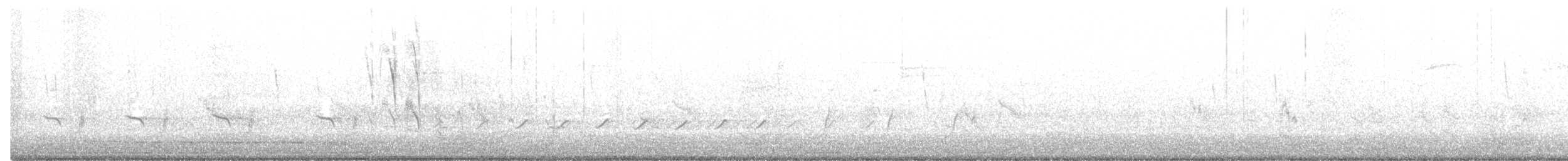Голкохвіст східний - ML235994301