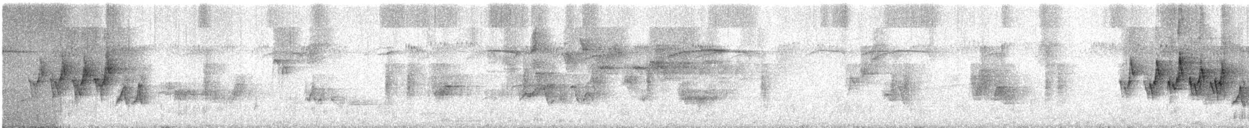 Mourning Warbler - ML236018681