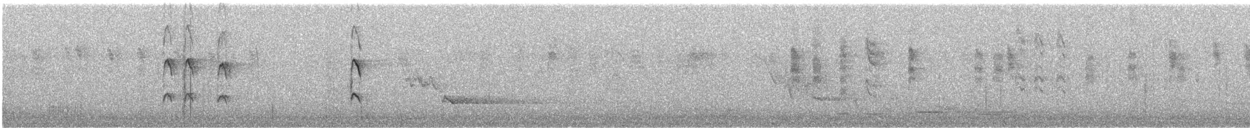 svarthettehonningeter - ML236041191