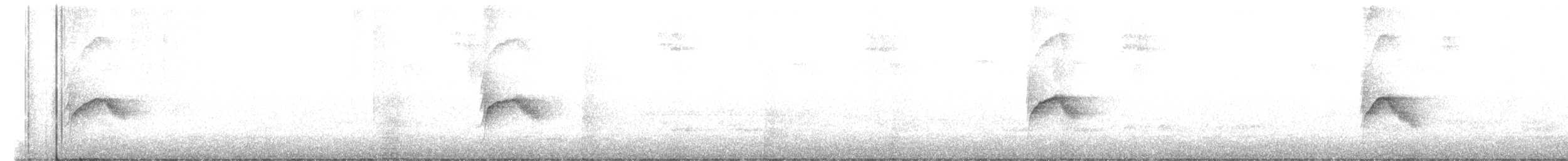 Bicknell Bülbül Ardıcı - ML236094491