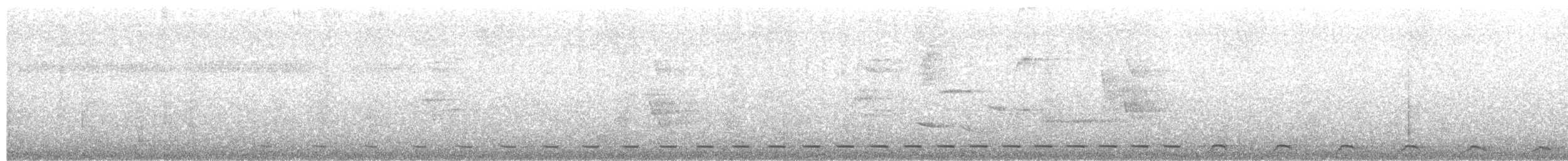 Streifenbrust-Ameisendrossel - ML23611931