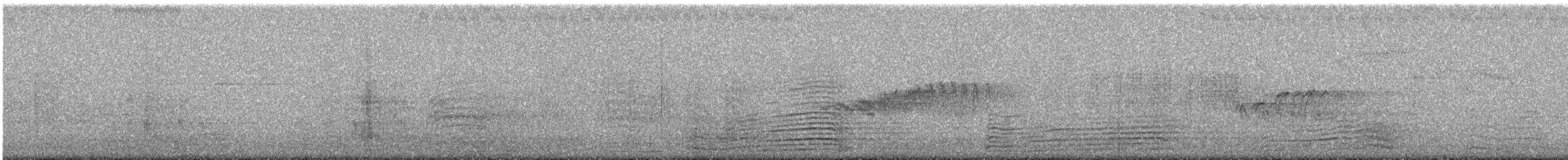Горихвістка чорна (підвид gibraltariensis/aterrimus) - ML236136221