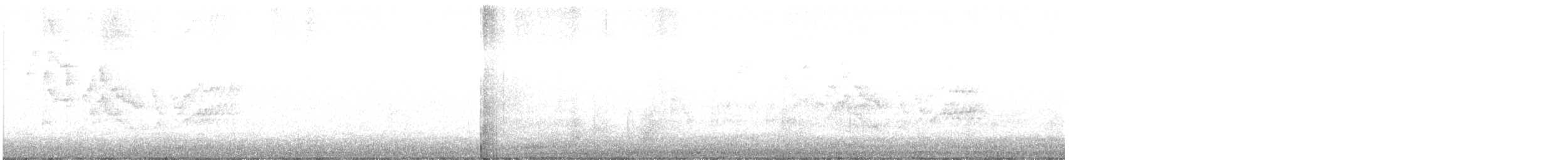 Дрізд-короткодзьоб канадський - ML236203041