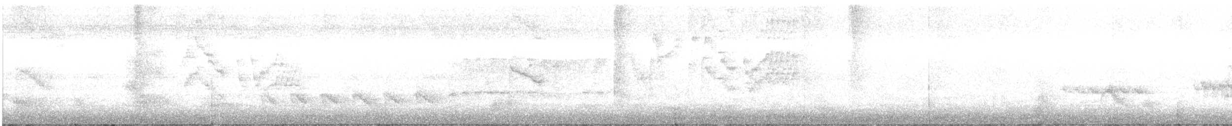 Дрізд-короткодзьоб канадський - ML236203061
