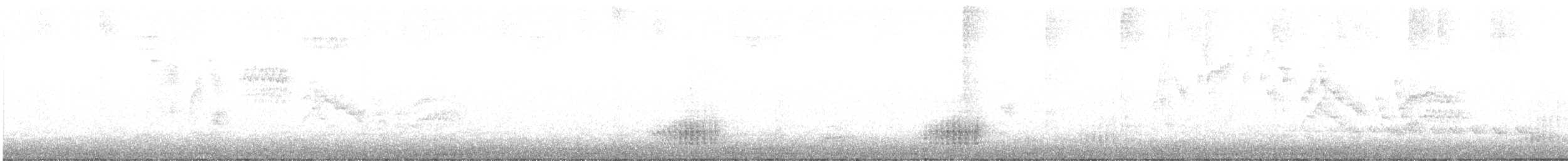 Дрізд-короткодзьоб канадський - ML236203071