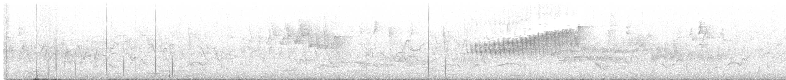 Northern Parula - ML236218131