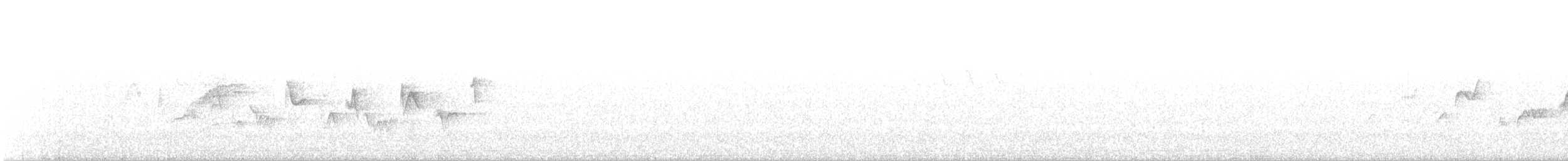 Віреон світлобровий - ML236251351