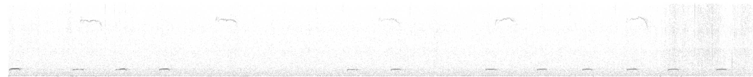 Northern Saw-whet Owl - ML23628261