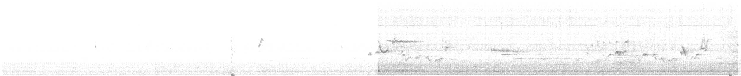 Warbling Vireo - ML236396861