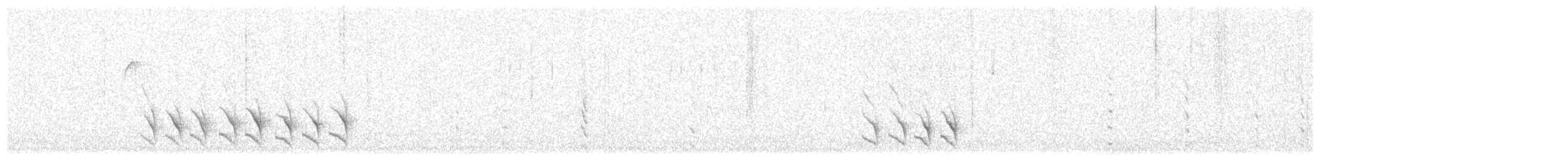 Weißbrustkleiber [lagunae-Gruppe] - ML23640941