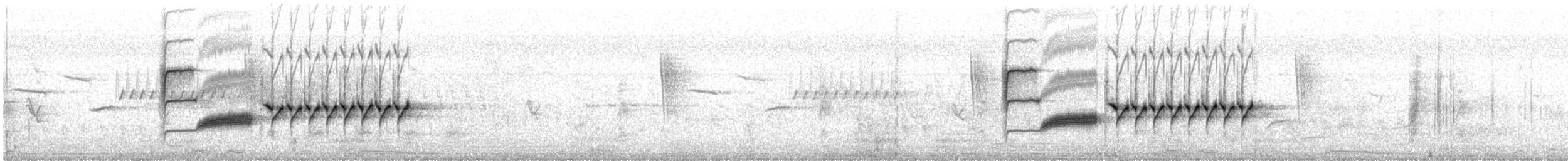 Длиннохвостый крапивник - ML236420061