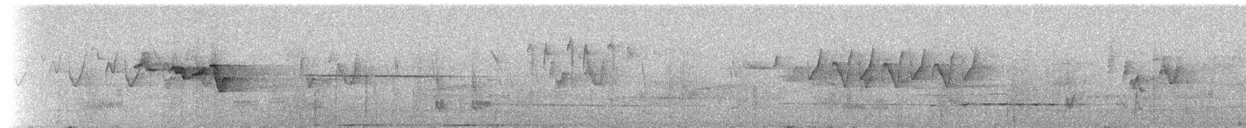 Purpurschnäpperdrossel - ML236427