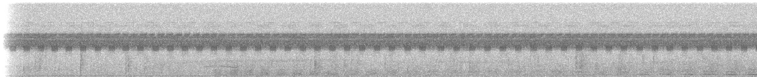 zoborožec melanéský - ML236480