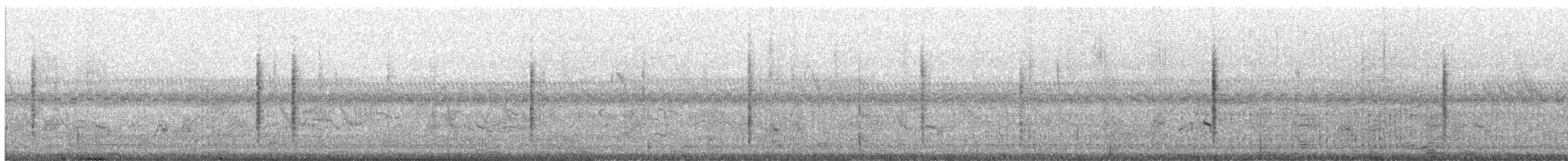 Black-browed Reed Warbler - ML236517851