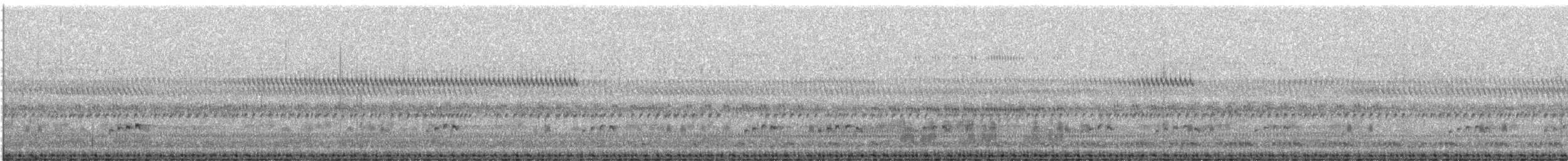Травяная сипуха - ML236518321