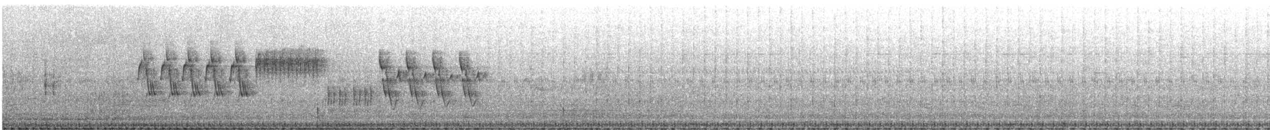Певчий сверчок - ML236525521