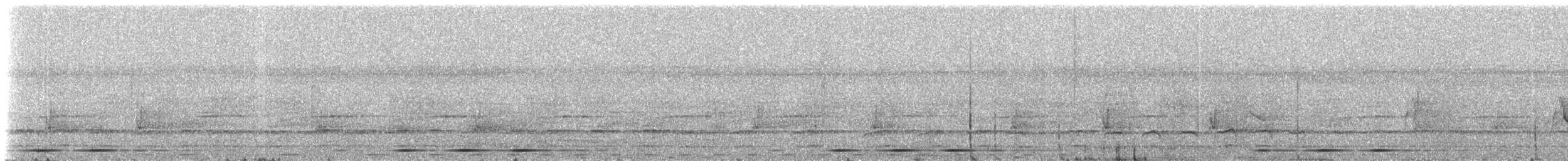 Lowland Sooty Boubou - ML236551