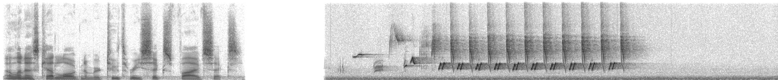 Common Nightingale (megarhynchos/africana) - ML23656