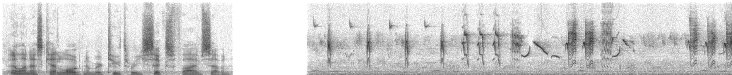 Icterine Warbler - ML23657