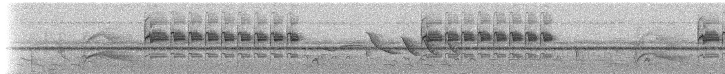 White-throated Hummingbird - ML236578