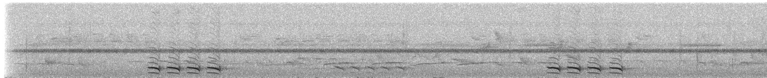 Variable Antshrike - ML236579