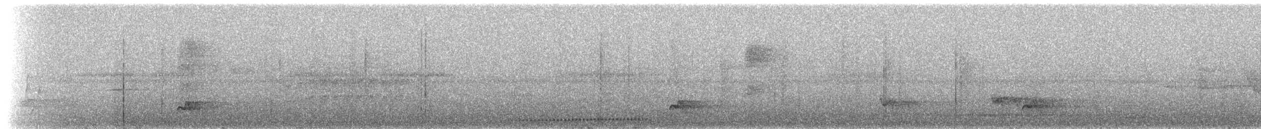 White-breasted Tapaculo - ML236580