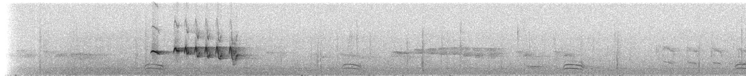 Bertoni's Antbird - ML236581