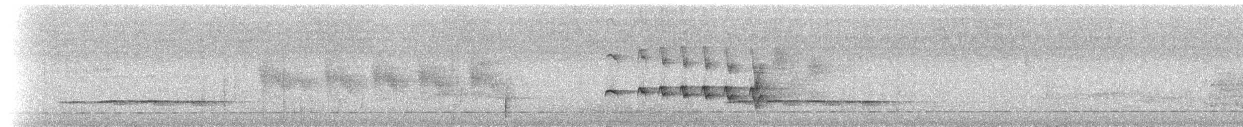 Bertoni's Antbird - ML236582