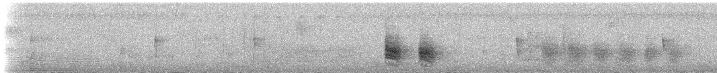 Bertoni's Antbird - ML236583