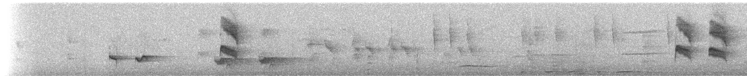 Star-throated Antwren - ML236587